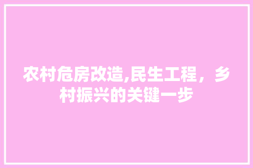 农村危房改造,民生工程，乡村振兴的关键一步