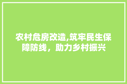 农村危房改造,筑牢民生保障防线，助力乡村振兴