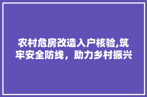 农村危房改造入户核验,筑牢安全防线，助力乡村振兴