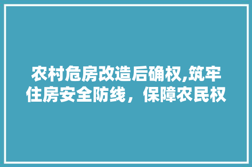 农村危房改造后确权,筑牢住房安全防线，保障农民权益