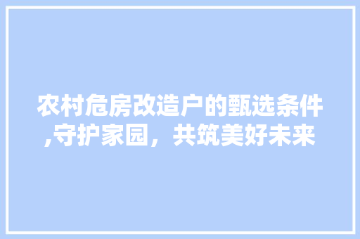 农村危房改造户的甄选条件,守护家园，共筑美好未来