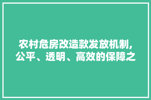 农村危房改造款发放机制,公平、透明、高效的保障之路