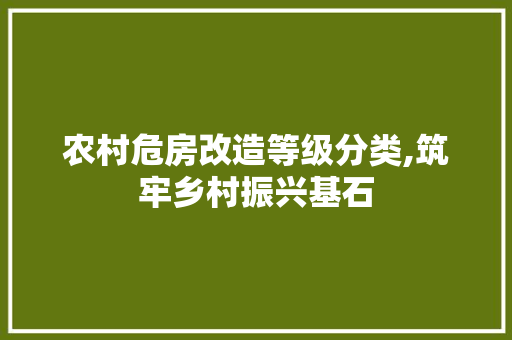 农村危房改造等级分类,筑牢乡村振兴基石
