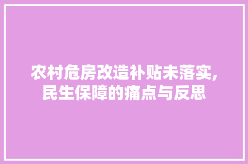 农村危房改造补贴未落实,民生保障的痛点与反思