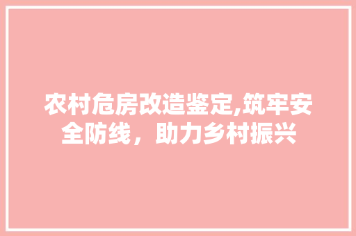 农村危房改造鉴定,筑牢安全防线，助力乡村振兴