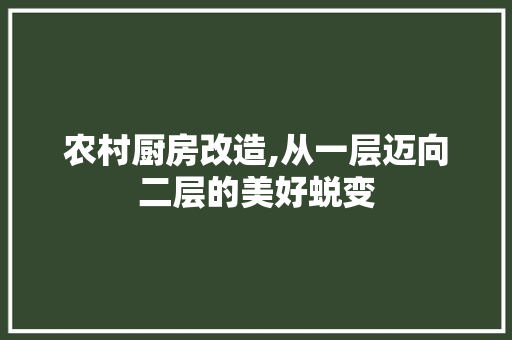 农村厨房改造,从一层迈向二层的美好蜕变