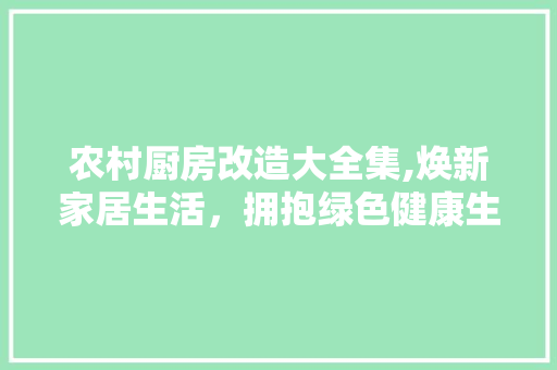 农村厨房改造大全集,焕新家居生活，拥抱绿色健康生活新风尚