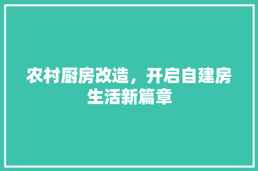 农村厨房改造，开启自建房生活新篇章
