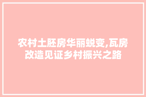 农村土胚房华丽蜕变,瓦房改造见证乡村振兴之路
