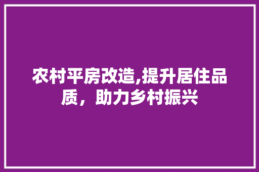农村平房改造,提升居住品质，助力乡村振兴