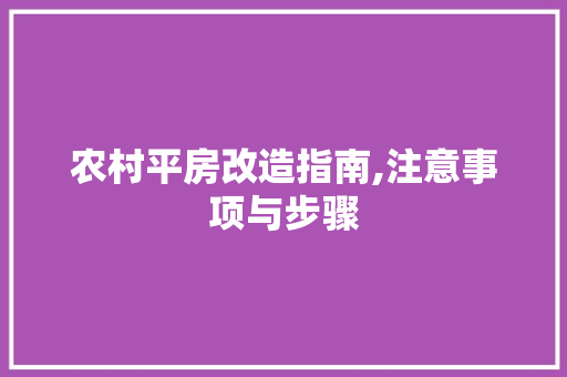 农村平房改造指南,注意事项与步骤