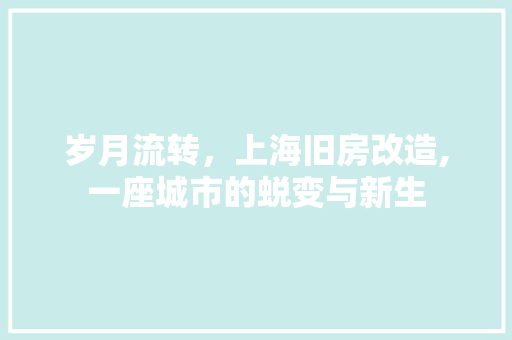 岁月流转，上海旧房改造,一座城市的蜕变与新生 折叠门