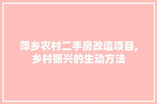 萍乡农村二手房改造项目,乡村振兴的生动方法