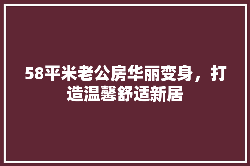 58平米老公房华丽变身，打造温馨舒适新居