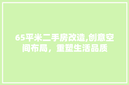 65平米二手房改造,创意空间布局，重塑生活品质
