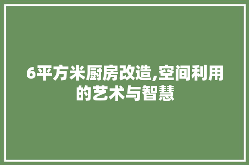 6平方米厨房改造,空间利用的艺术与智慧