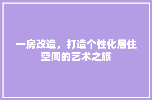 一房改造，打造个性化居住空间的艺术之旅