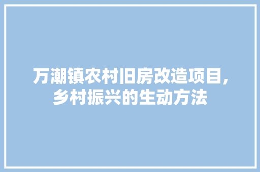 万潮镇农村旧房改造项目,乡村振兴的生动方法