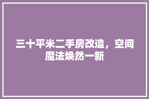 三十平米二手房改造，空间魔法焕然一新