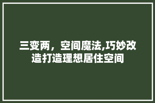 三变两，空间魔法,巧妙改造打造理想居住空间