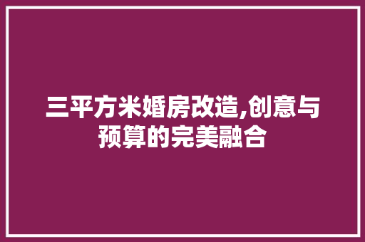 三平方米婚房改造,创意与预算的完美融合
