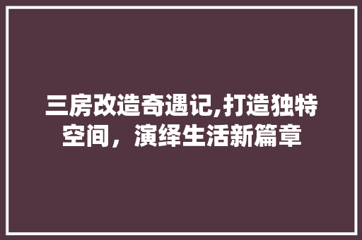 三房改造奇遇记,打造独特空间，演绎生活新篇章