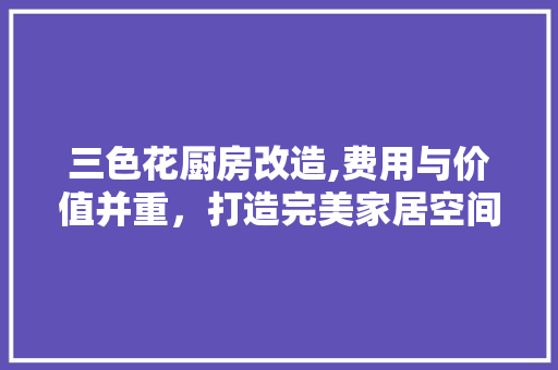 三色花厨房改造,费用与价值并重，打造完美家居空间