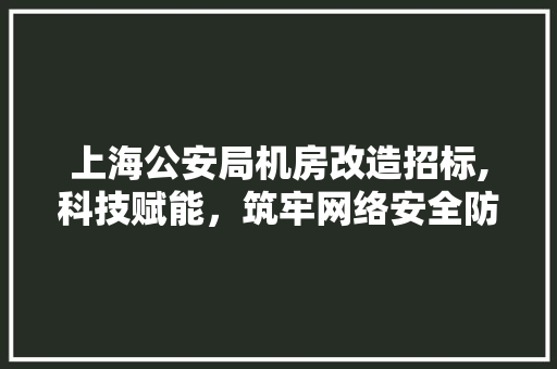 上海公安局机房改造招标,科技赋能，筑牢网络安全防线