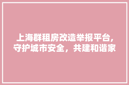 上海群租房改造举报平台,守护城市安全，共建和谐家园