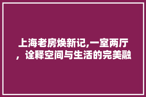 上海老房焕新记,一室两厅，诠释空间与生活的完美融合