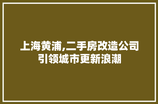 上海黄浦,二手房改造公司引领城市更新浪潮