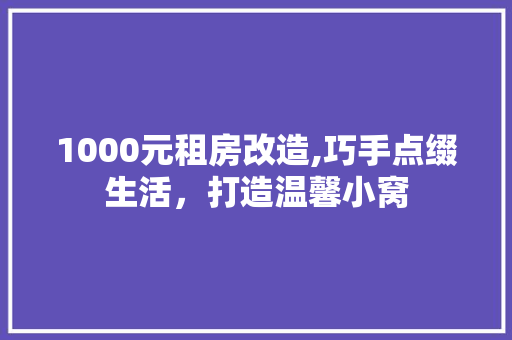 1000元租房改造,巧手点缀生活，打造温馨小窝