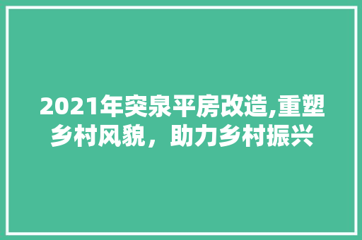 2021年突泉平房改造,重塑乡村风貌，助力乡村振兴