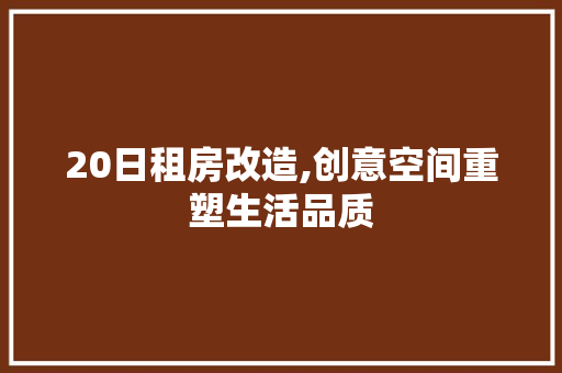 20日租房改造,创意空间重塑生活品质