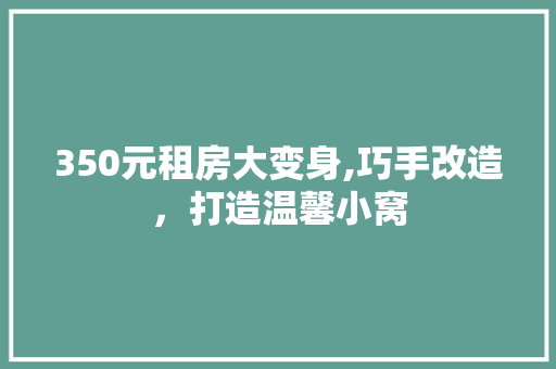 350元租房大变身,巧手改造，打造温馨小窝
