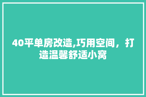 40平单房改造,巧用空间，打造温馨舒适小窝