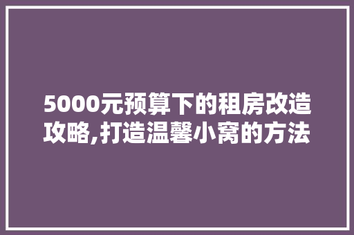 5000元预算下的租房改造攻略,打造温馨小窝的方法