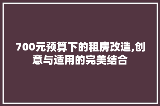 700元预算下的租房改造,创意与适用的完美结合