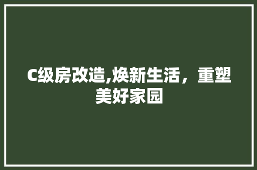 C级房改造,焕新生活，重塑美好家园