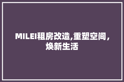 MILEI租房改造,重塑空间，焕新生活