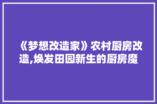 《梦想改造家》农村厨房改造,焕发田园新生的厨房魔法
