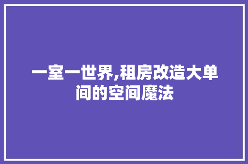 一室一世界,租房改造大单间的空间魔法