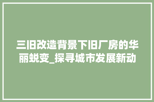 三旧改造背景下旧厂房的华丽蜕变_探寻城市发展新动力