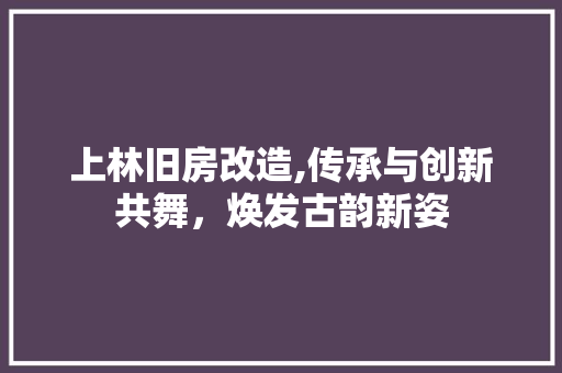 上林旧房改造,传承与创新共舞，焕发古韵新姿