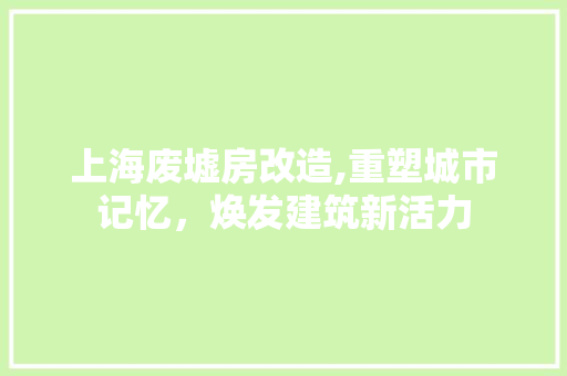 上海废墟房改造,重塑城市记忆，焕发建筑新活力