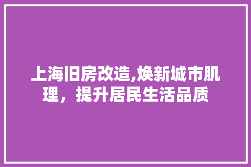 上海旧房改造,焕新城市肌理，提升居民生活品质