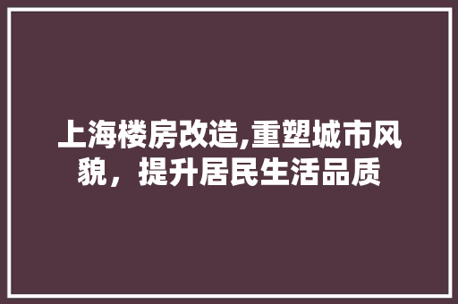 上海楼房改造,重塑城市风貌，提升居民生活品质