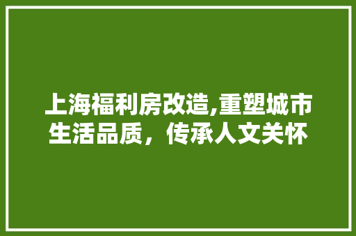 上海福利房改造,重塑城市生活品质，传承人文关怀