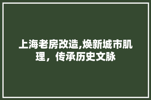 上海老房改造,焕新城市肌理，传承历史文脉