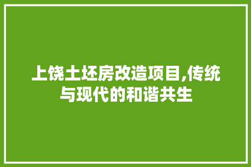 上饶土坯房改造项目,传统与现代的和谐共生